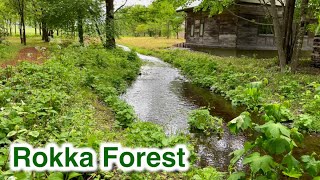 【北海道】六花の森　Rooka Forest