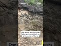 Rockslide in Tennessee
