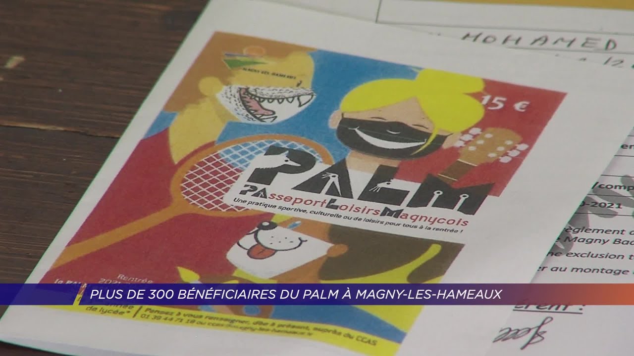 Yvelines | Plus de 300 bénéficiaires du PALM à Magny-les-Hameaux