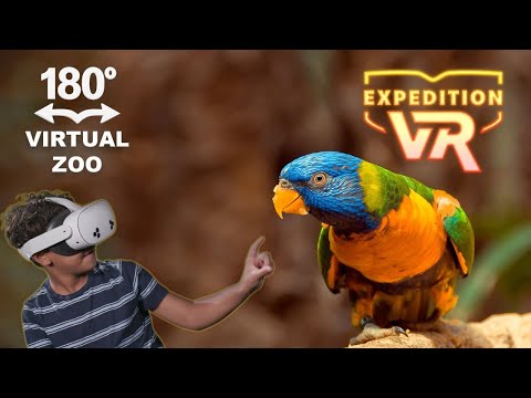 screenshot of youtube video titled Up Close with the Wild 180° | Expedition VR