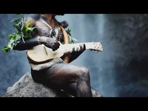 Traditional Gitar (Lanny)