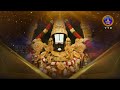 శ్రీవారి నిత్యపూజలివిగో || Srivari Nitya Poojalivigo || 01-01-2024 || SVBC TTD  - 05:32 min - News - Video