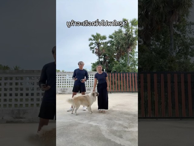ซ้ายหรือขวา บูก้าจะวิ่งหาใคร ?🐶  #ลองดู #ฮาๆขําๆ #ฝากติดตาม #ช่องยูทูป #บูก้า #buka #บางแก้ว