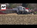 Illinois bus crash kills 3 children and 2 adults