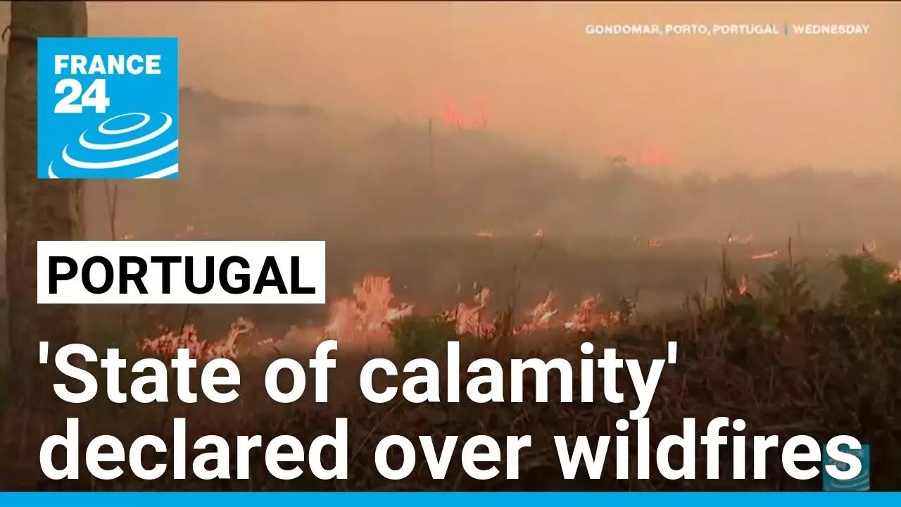 Portugal declares 'state of calamity' as wildfires rage out of control • FRANCE 24 English