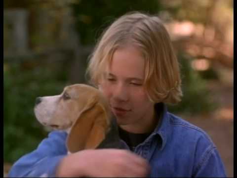 Shiloh'