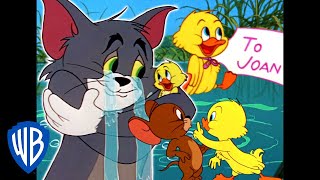 Tom a Jerry - Malej kvákač