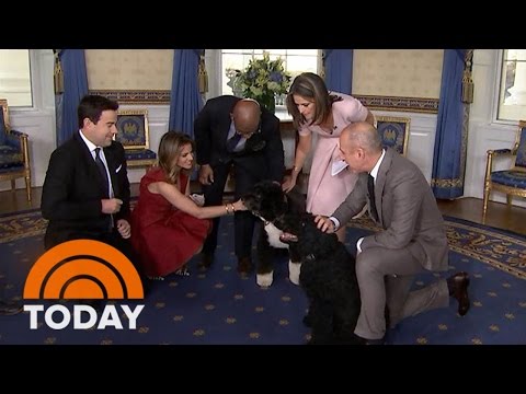 It’s Bo And Sunny! The Obama Family Dogs Join The TODAY White House Tour | TODAY