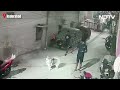 Hyderabad Latest News Updates | Hyderabad Man, Pet Husky Out On Walk Thrashed With Sticks  - 01:19 min - News - Video