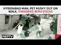 Hyderabad Latest News Updates | Hyderabad Man, Pet Husky Out On Walk Thrashed With Sticks