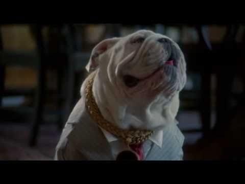 The Dogfather'