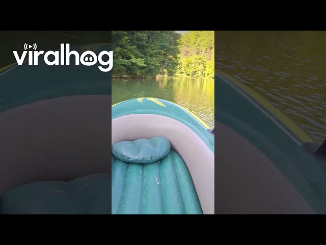 Lake Vida || ViralHog