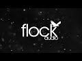 Flock Audio Patch - Imagen Nº4