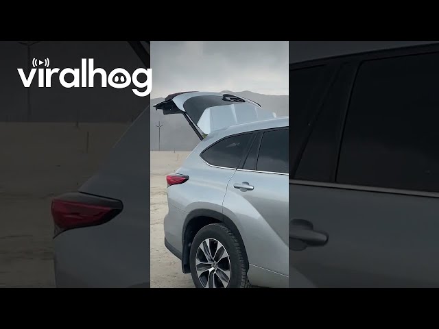 Okay Bear Lake Chill Out  || ViralHog