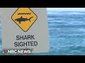 Apparent shark attack injures 11-year-old girl off Hawaii shore