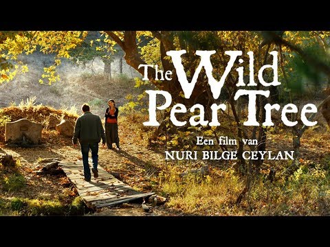 The Wild Pear Tree'