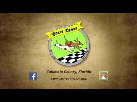 Race Video