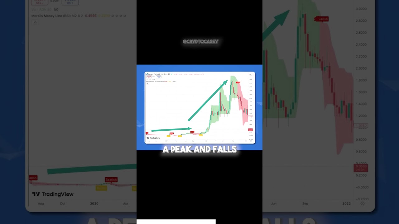 The Hidden Truth Behind Altcoin Pumps