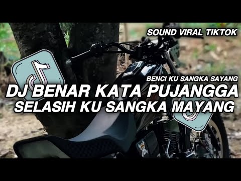 DJ BENAR KATA PUJANGGA SELASIH KU SANGKA MAYANG || BENCI KU SANGKA SAYANG VIRAL TIKTOK TERBARU