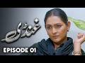 Ghundi - EP 01  Love, Grief, Deception - New Pakistani Drama