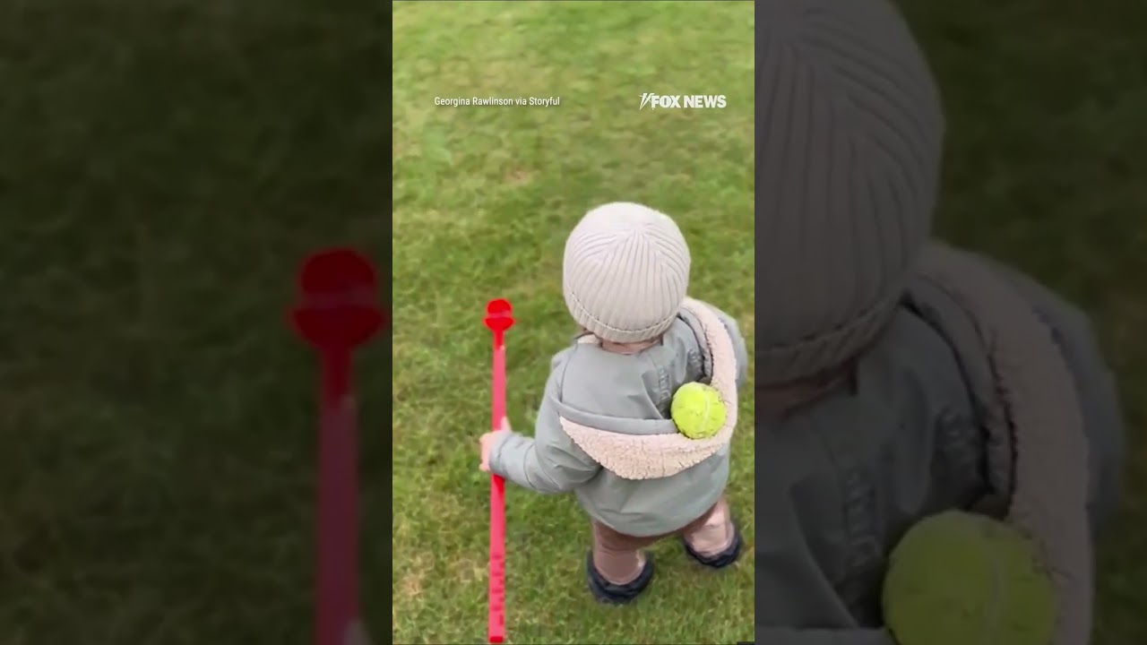 WATCH: Toddler, dog STUNNED during fetch after ball 'disappears' #shorts #foxnews #news #viral