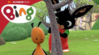 Krlek Bing - Schovvan