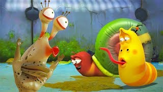 Larva - co skrývá šnek?