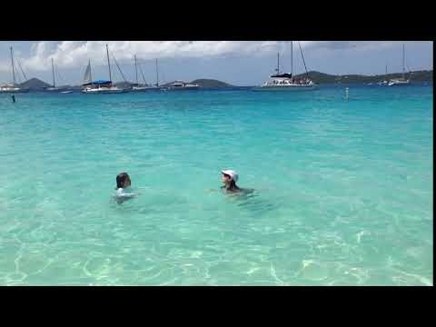 Video realizado por la propiedad