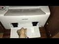 Epson Acu Laser C1700 Printing / Demo Color