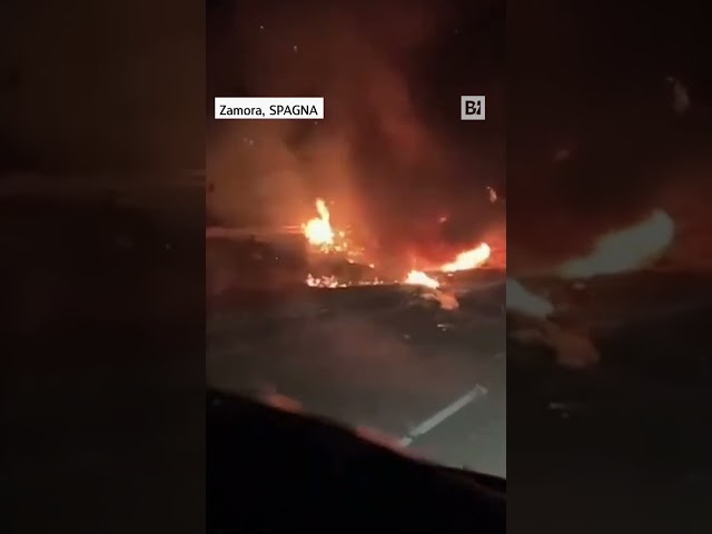 Morte Diogo Jota, le immagini dell'incidente fatale