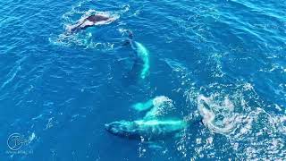 Drone Magic Noosa - Photography & Videography Services