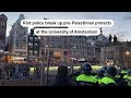 Dutch police break up pro-Palestinian student protest | REUTERS