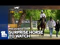 This years horse to watch isnt who you might think ...