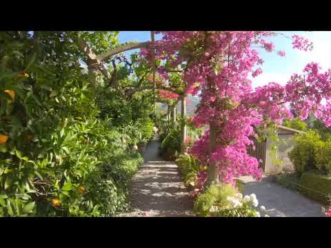Property video