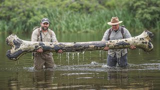 Учёные из Миссисипи обнаружили окаменелость гигантского морского дракона
