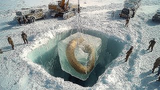 Самые странные вещи, найденные замороженными во льду, с леденящими душу предысториями
