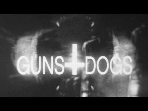 Guns and Dogs