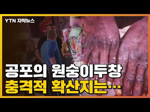[자막뉴스] "유력한 가설"...원숭이두창 '이곳'에서 퍼졌다 / YTN