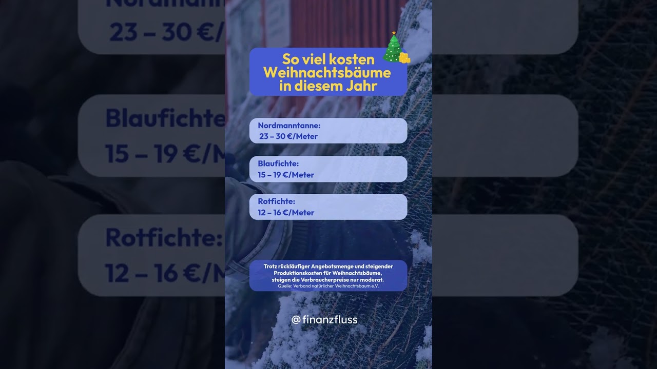 So viel kosten Weihnachtsbäume 2025 🎄