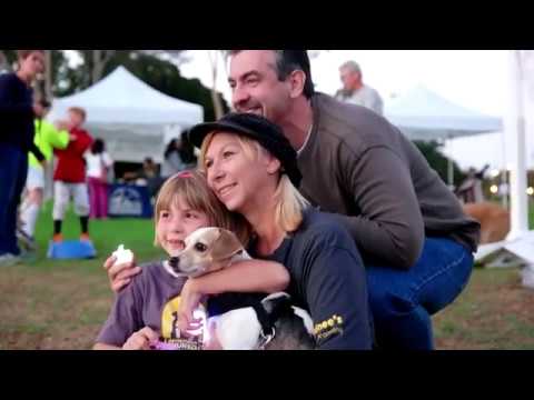 Remember Me Thursday is Thursday, September 27th! Please join the global movement and share your support on social media using #RememberMeThursday and @hwac. We can save orphan pets. Remember Me Thursday is Thursday, September 27th! Please join the global movement and share your support on social media using #RememberMeThursday and @hwac. We can save orphan pets.