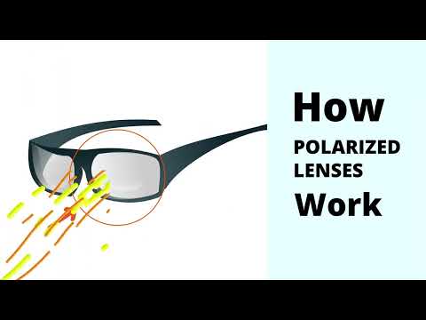How Polarized Lenses Work | Global Eyes