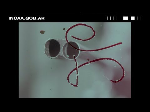 La Película Infinita'