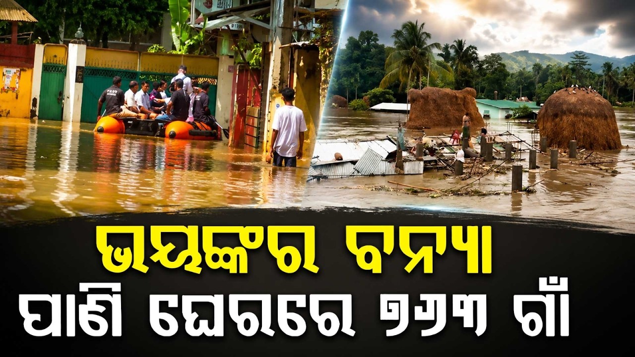 Assam Flood Fury: De@th Toll Rises to 68, Over 5 Lakh People Still Affected | Argus News