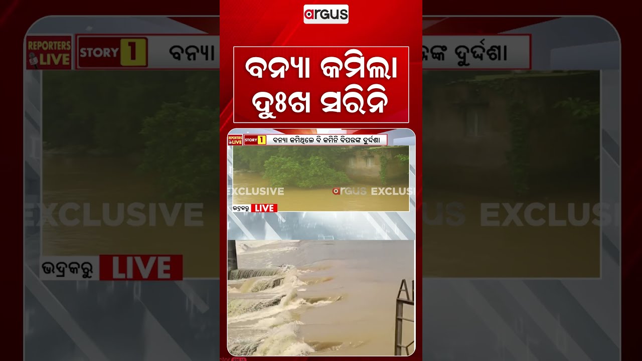 ବନ୍ୟା କମିଲା ଦୁଃଖ ସରିନି | Bhadrak Flood Update | Argus News
