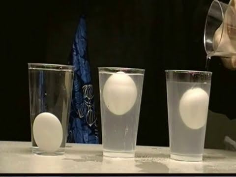 Tuzlu su  yumurta - özkütle deneyi