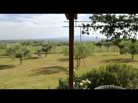 Property video
