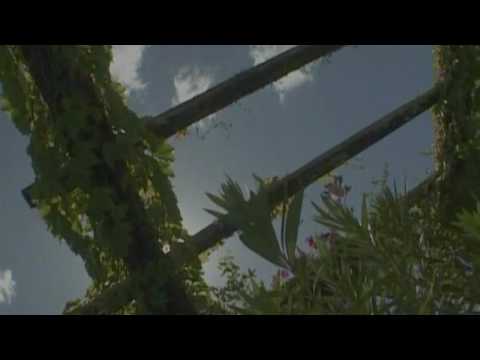 Video struttura