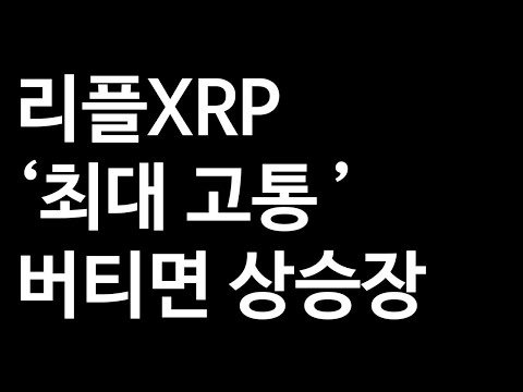 리플 XRP 에이다 비트코인 이더리움 : 리플XRP ‘최대 고통 ’ 버티면 상승장