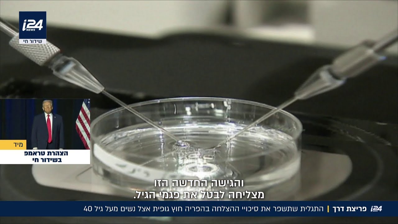 התגלית שתשפר את סיכויי ההצלחה בהפריה חוץ גופית אצל נשים מעל גיל 40