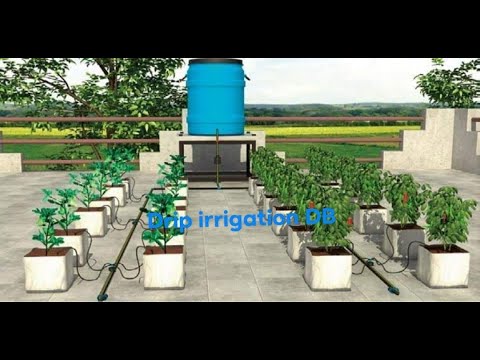 video 65 plants drip irrigation package
